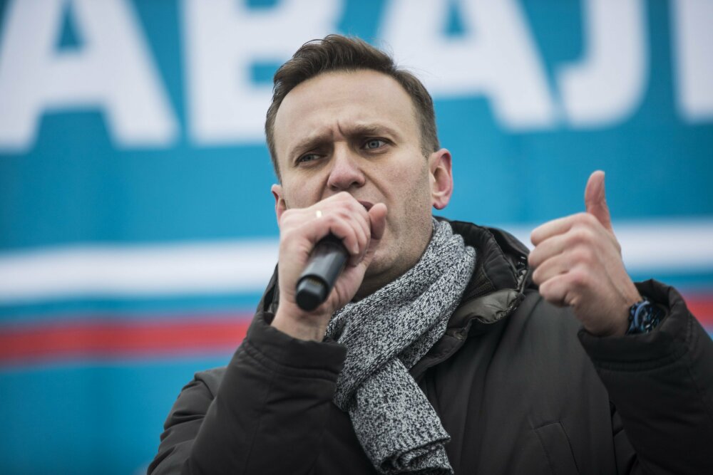 «Десять суток в изоляторе и полгода в Таиланде»: Милонов рассказал о деятельности Навального