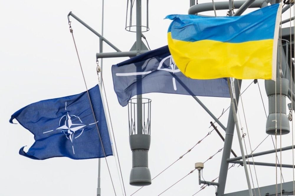 Надо объявить Украину нейтральной страной и отодвинуть ее от НАТО - The Guardian