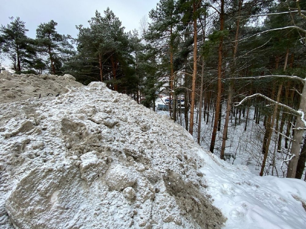 «Снежная свалка» у Шуваловского леса разрастается