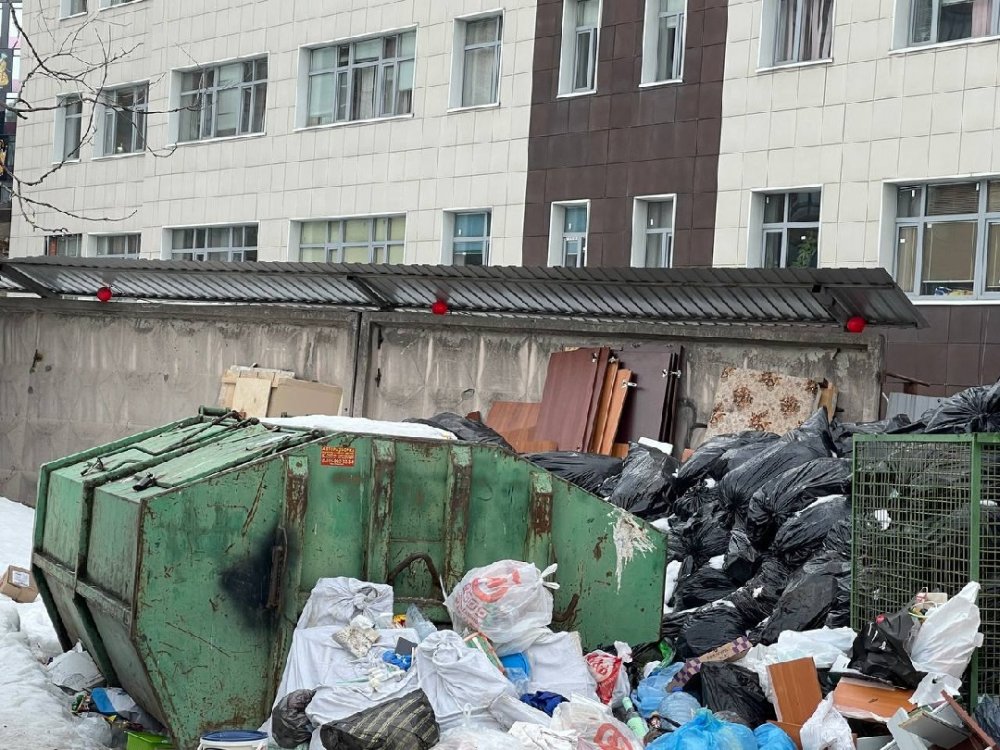 НЭО до сих пор не может вывезти мусор из дворов на Пискаревском проспекте