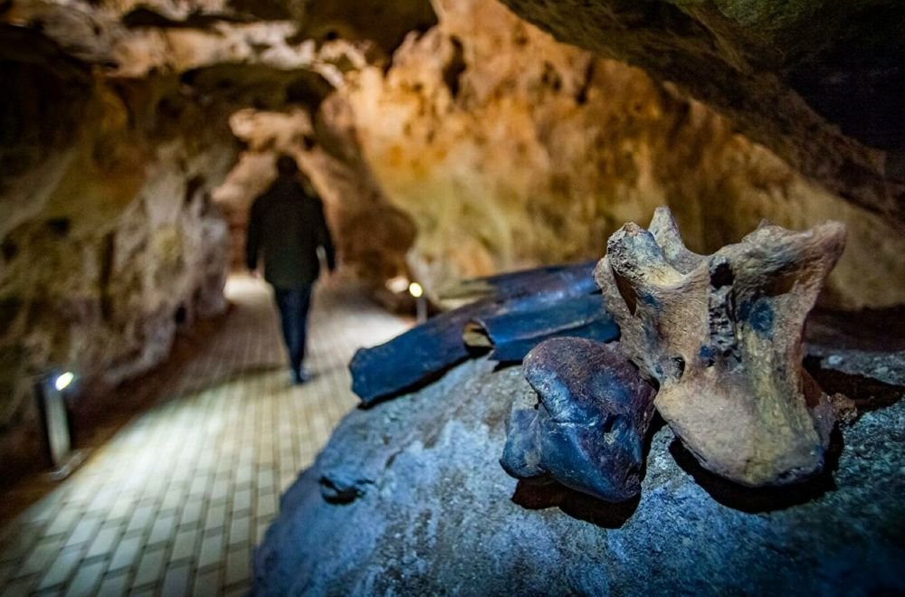 Пещера "Таврида" готовится к своему первому туристическому сезону