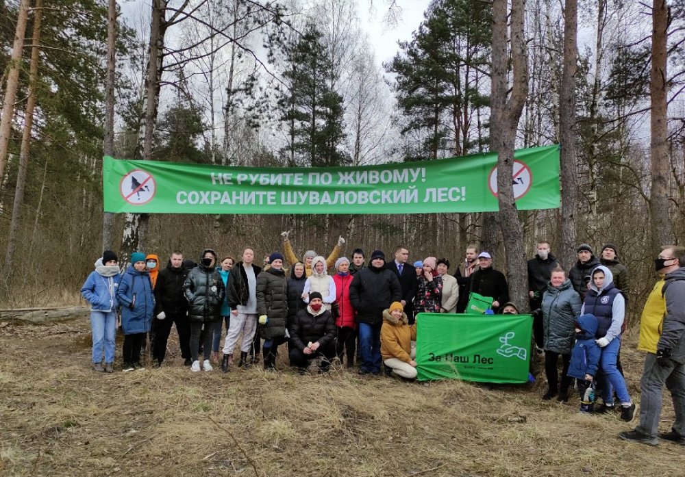 Петербуржцы готовятся отстаивать Шуваловский лес в суде