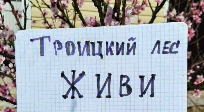 Троицкий лес, живи! В Сети идет флешмоб в поддержку московских защитников природы