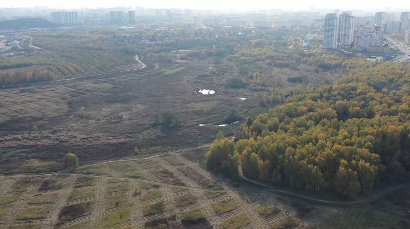 Суд рассмотрит коллективный иск против застройки Косинских полей в Москве