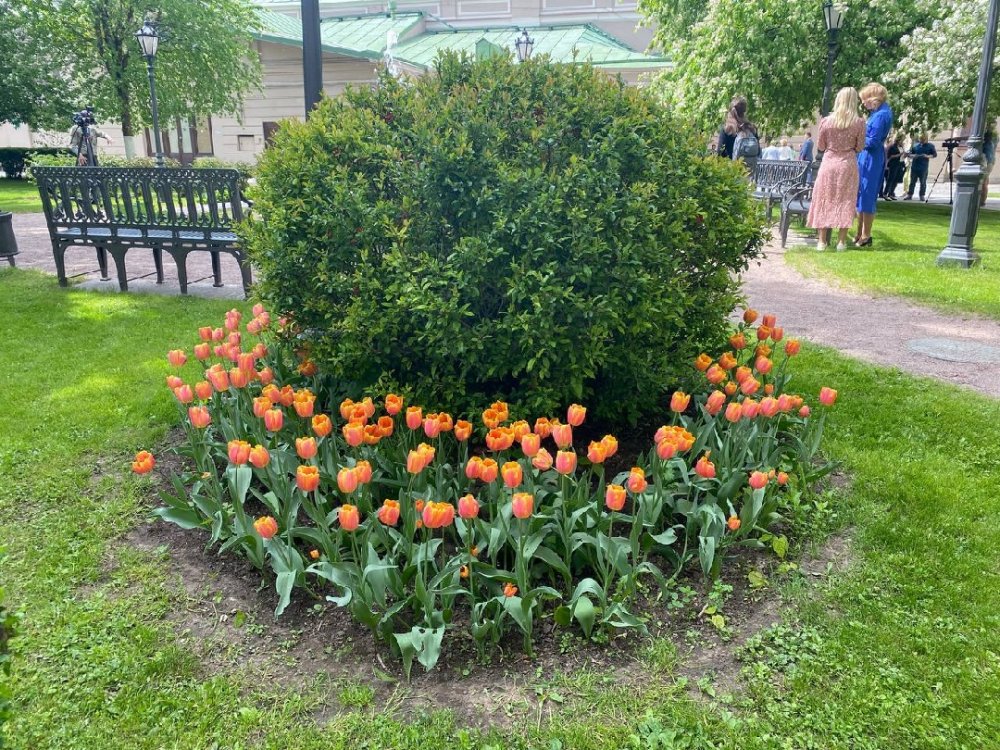 ЗакСобрание Петербурга открыло свой сад для свободного посещения
