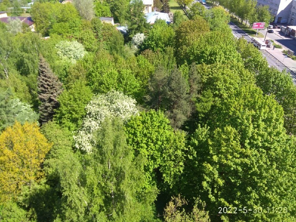 В Петербурге под угрозой уничтожения сад Агрофизического института