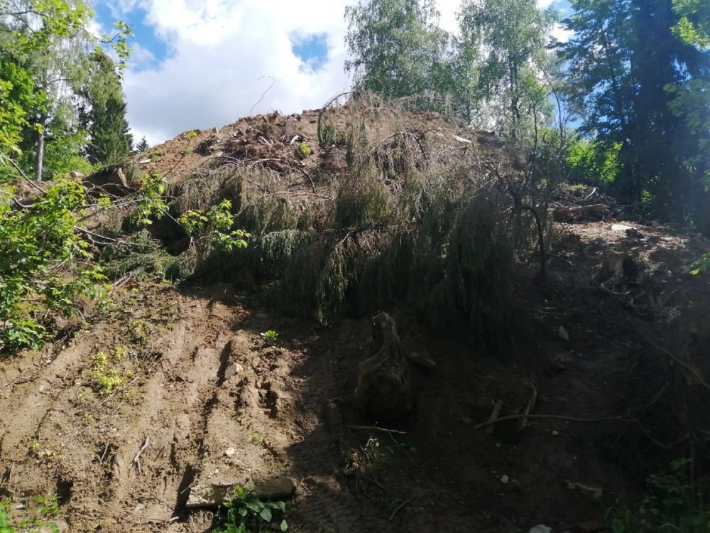 В Подмосковье в зоне охраняемого природно-исторического ландшафта обнаружена свалка