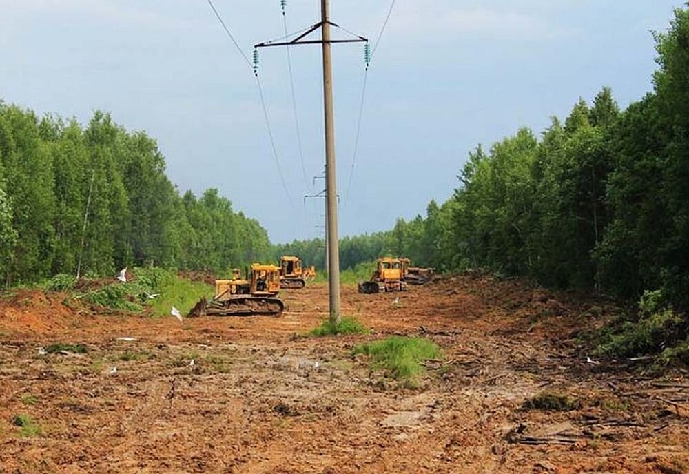 Власти Крыма раздумали прокладывать ЛЭП через севастопольские леса