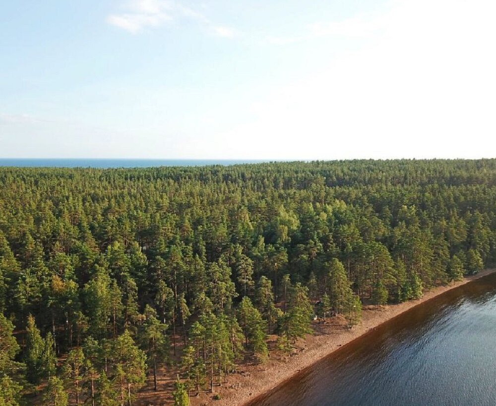 Подан новый иск в суд в защиту Финского залива от проекта Приморского УПК