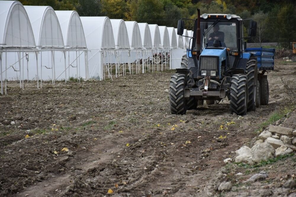 Севастополь нуждается в развитии крупных агропромышленных комплексов – Евгений Дубовик