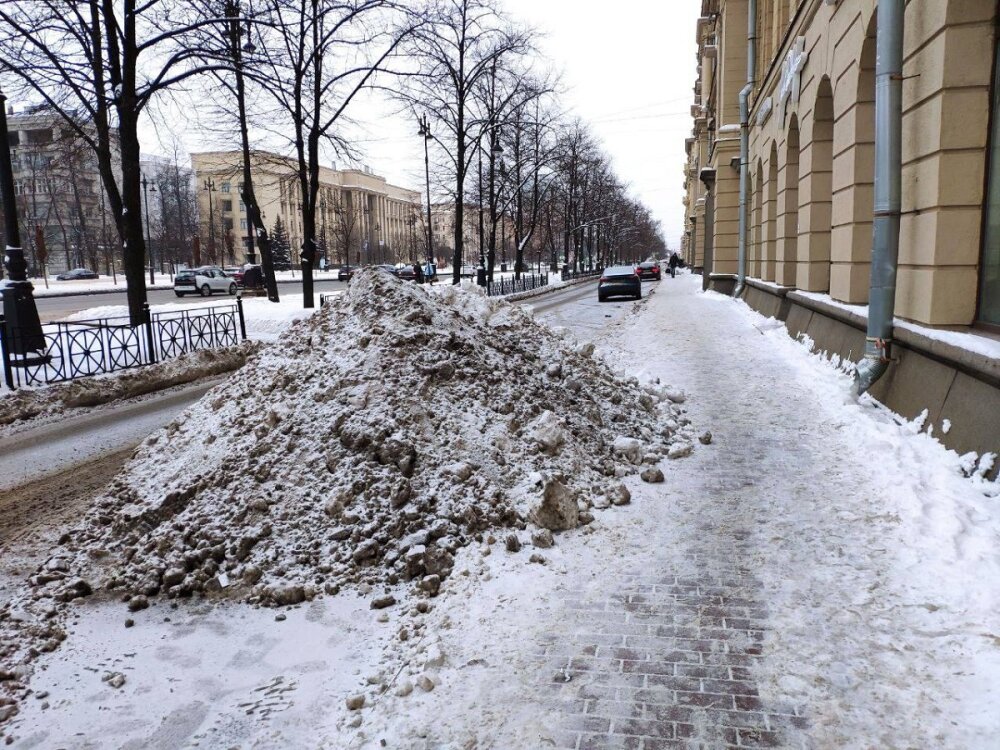 Независимый опрос опроверг результаты рейтинга комфортных городов для жизни зимой, где Петербург попал в топ-3