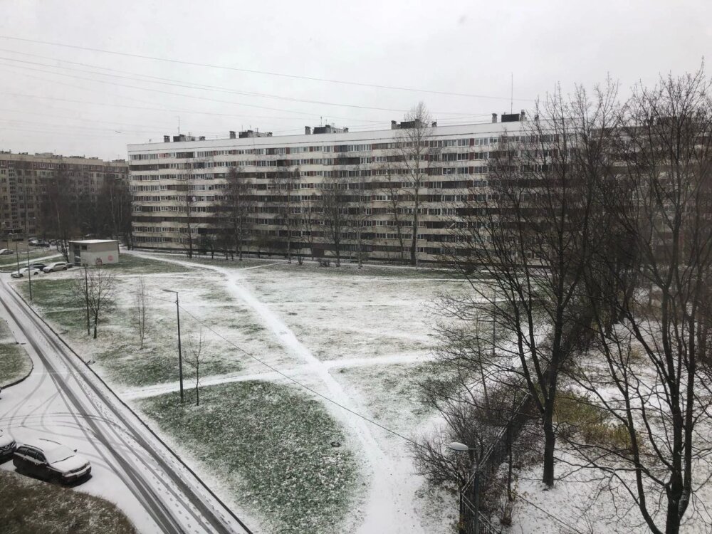 Первый снежный день показал полную неготовность Петербурга к зиме