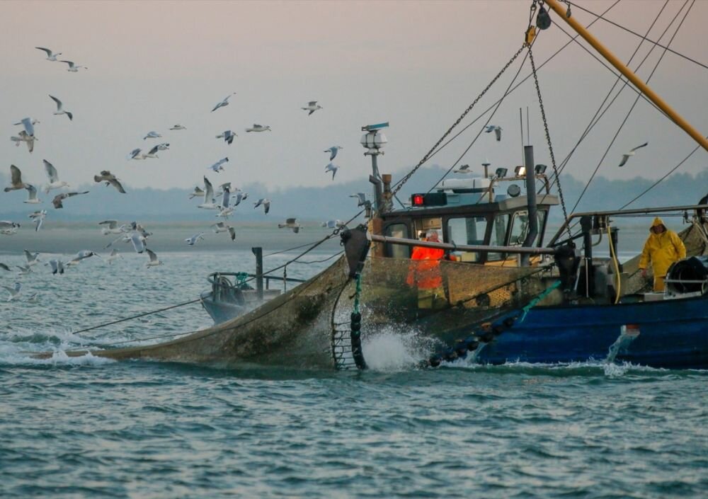 Для севастопольских рыбаков будет сделано исключение в порядке выхода в море
