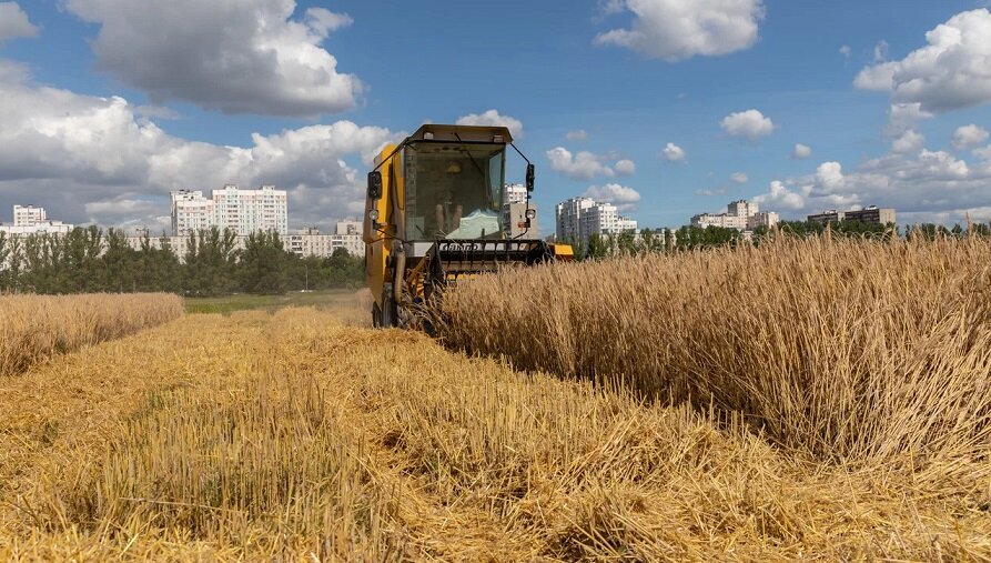 России не хватает собственных семян – с чего бы это?