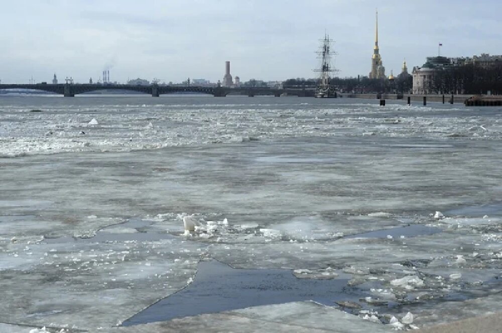 В Петербурге теплая погода предвещает хорошую весну
