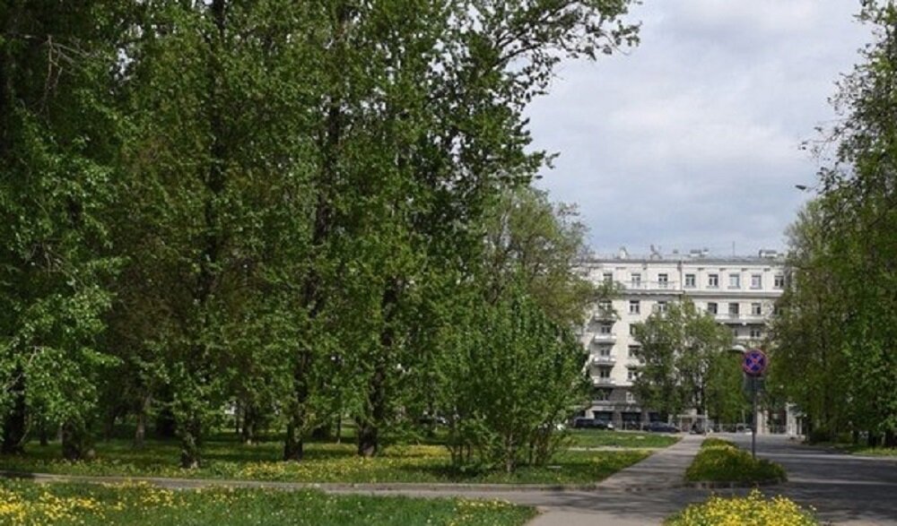 «Плакать надо, а они поют». Петербургские чиновники затеяли очередное строительство в парке