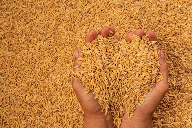 Пшеница дорожает, поскольку Украина и Россия угрожают судам друг друга, подрывая торговлю