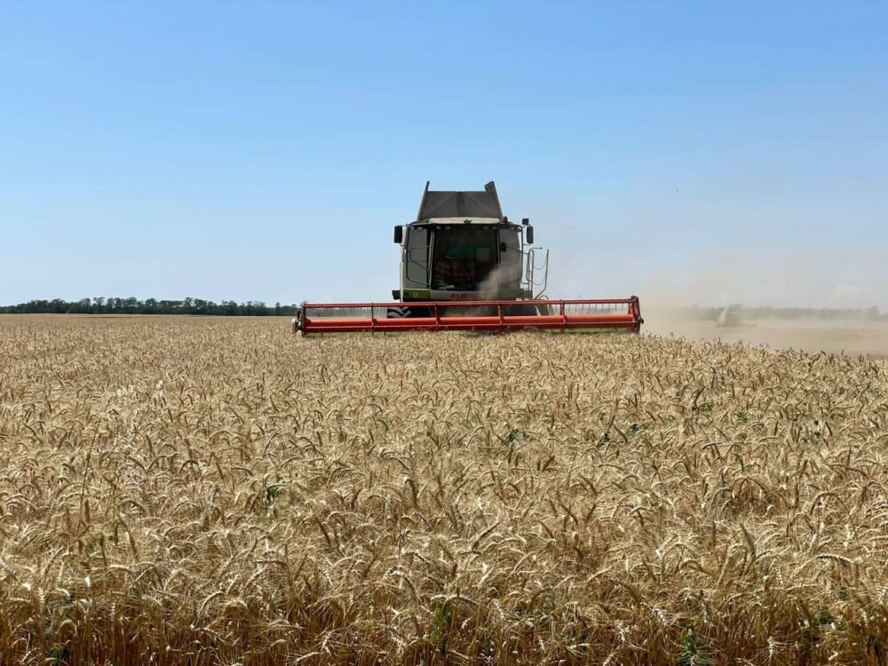 Крымские аграрии установили рекорд – собрано более 2.3 миллионов тонн зерновых
