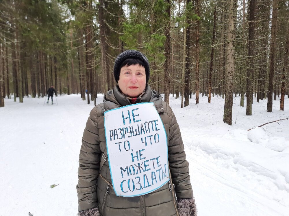 Власти Петербурга сделали очередной шаг к уничтожению леса и заказника под Зеленогорском