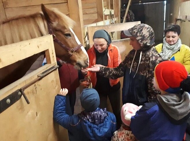 В Московской области могут закрыть конный клуб, помогающий детям-инвалидам