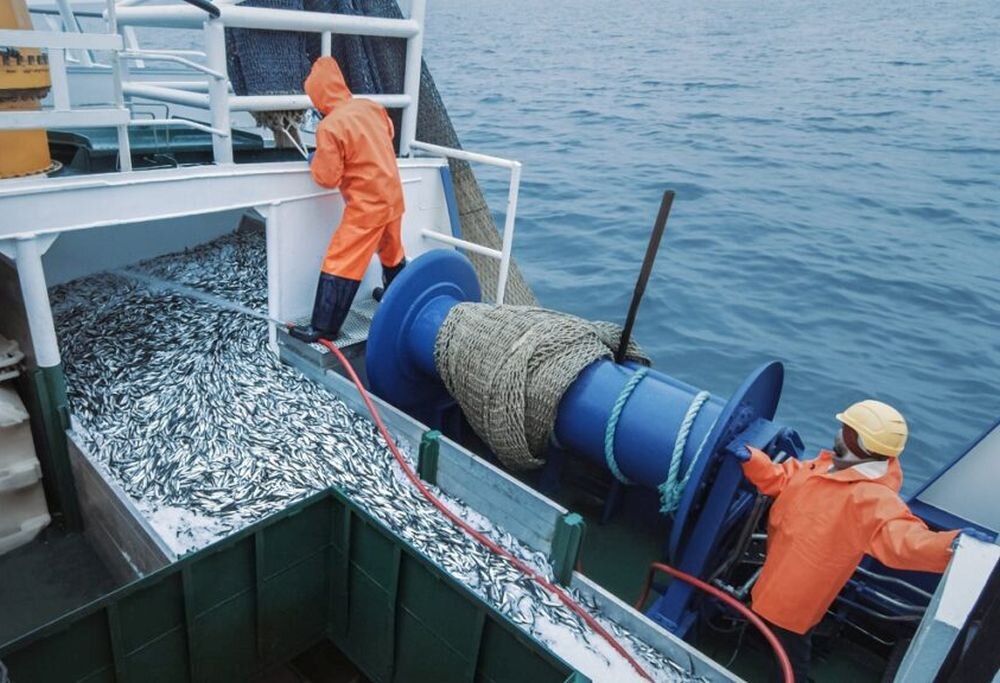 Рыбаки Азово-Черноморского бассейна выловили с начала года почти 28 тысяч тонн