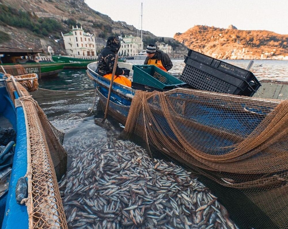 Севастопольские рыбаки до конца года получат компенсацию за вынужденный простой