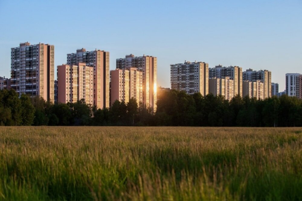 Петербуржцы опасаются, что большое строительство в Ленобласти затевается ради их выселения из домов