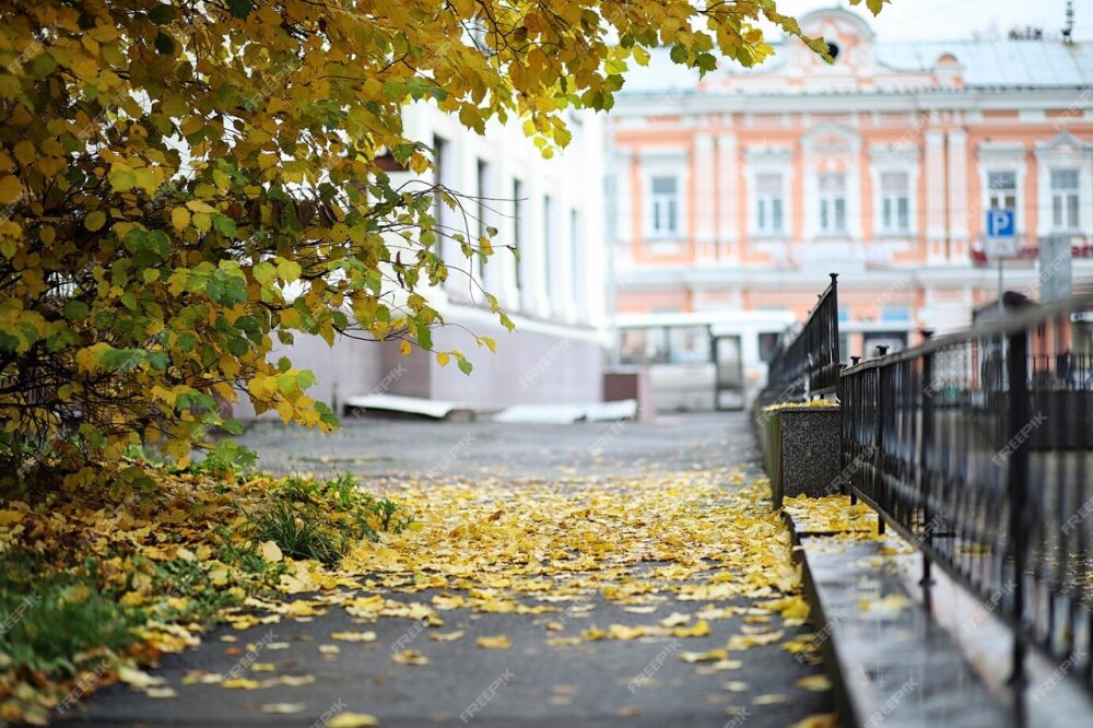 Петербург признан красивейшим осенним городом России